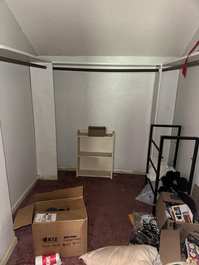 3182 E US Highway 84, Palestine, TX 75801 - basement featuring carpet floors, a textured ceiling, and baseboards