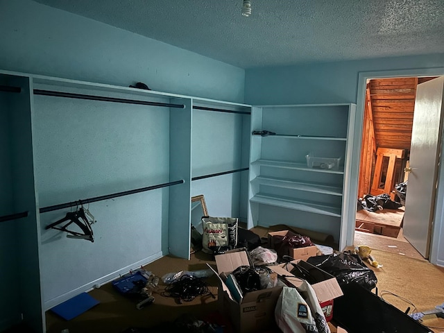 3182 E US Highway 84, Palestine, TX 75801 - view of spacious closet