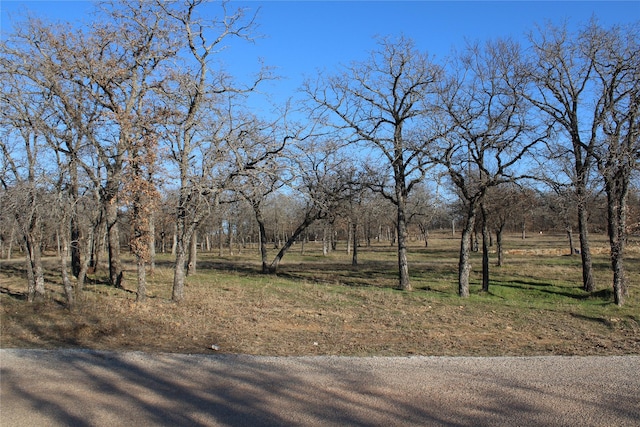 116 Jim Walters Dr, Runaway Bay, TX 76426
