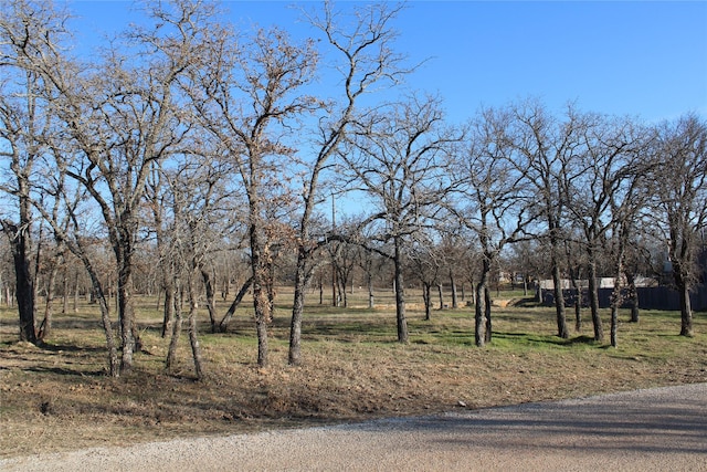 116 Jim Walters Dr, Runaway Bay, TX 76426