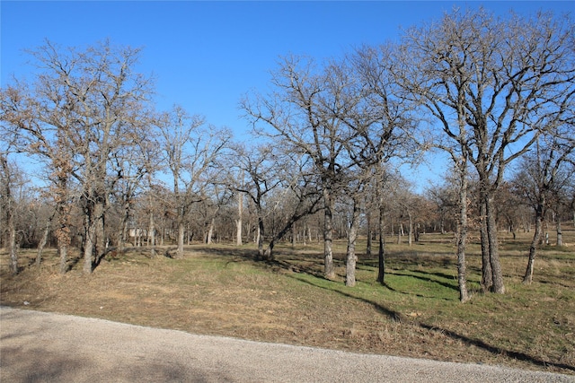 116 Jim Walters Dr, Runaway Bay, TX 76426