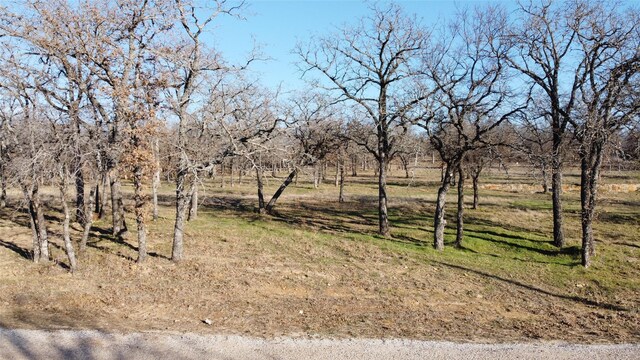 116 Jim Walters Dr, Runaway Bay, TX 76426