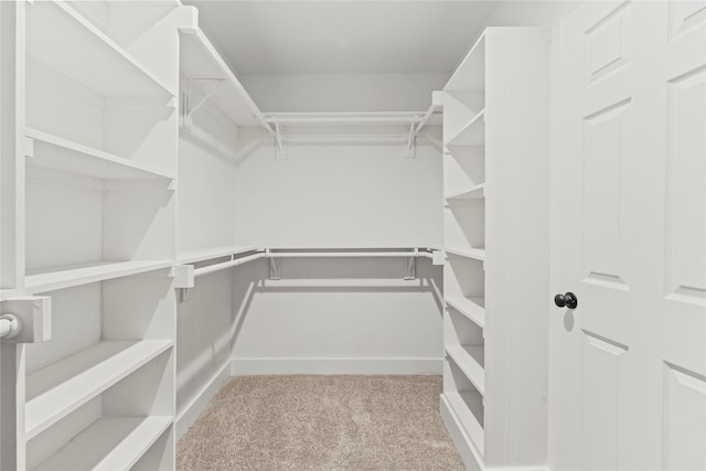 104 W 2nd St, Waxahachie, TX 75165 - spacious closet with carpet flooring