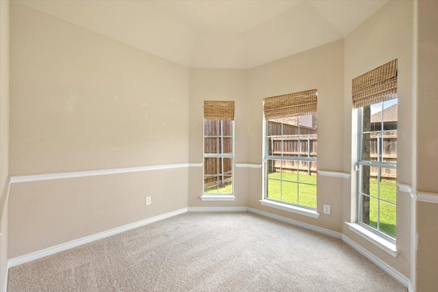304 Adobe Lilly Ct, Mansfield, TX 76063 - empty room featuring carpet floors and baseboards