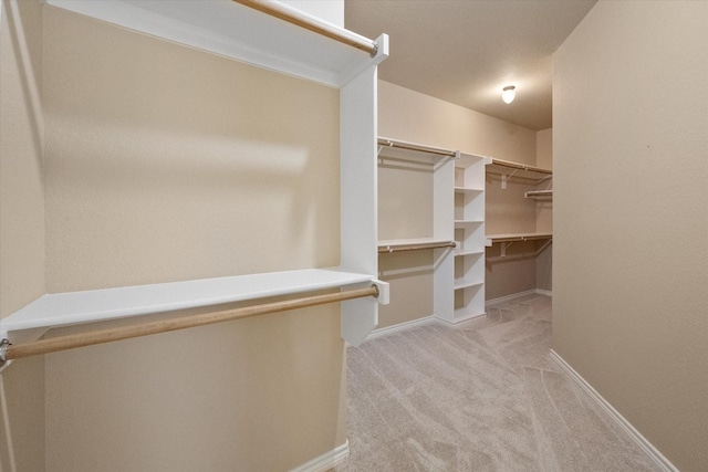 304 Adobe Lilly Ct, Mansfield, TX 76063 - walk in closet featuring carpet floors