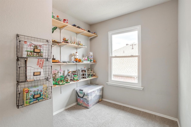 2604 Briarcrest Dr, Burleson, TX 76028 - view of pantry