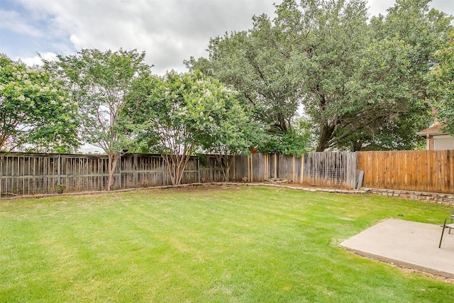 2604 Briarcrest Dr, Burleson, TX 76028 - view of yard featuring a patio