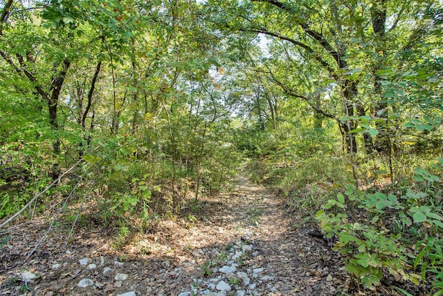 479 Siebman Rd, Sadler, TX 76264 - view of woods