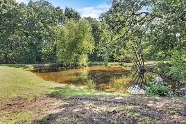 479 Siebman Rd, Sadler, TX 76264 - view of yard featuring a water view