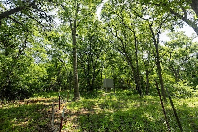 479 Siebman Rd, Sadler, TX 76264 - view of woods