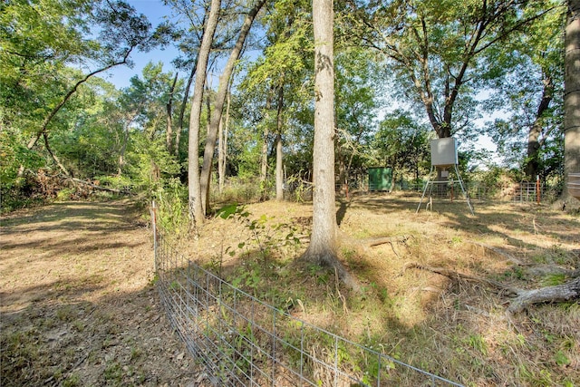 479 Siebman Rd, Sadler, TX 76264 - view of yard