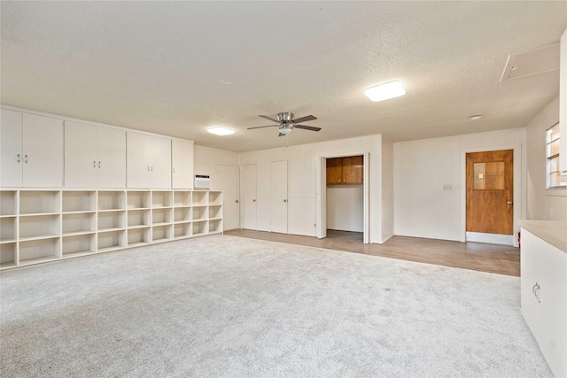 201 Palestine St, Coleman, TX 76834 - below grade area featuring carpet, a ceiling fan, and a textured ceiling