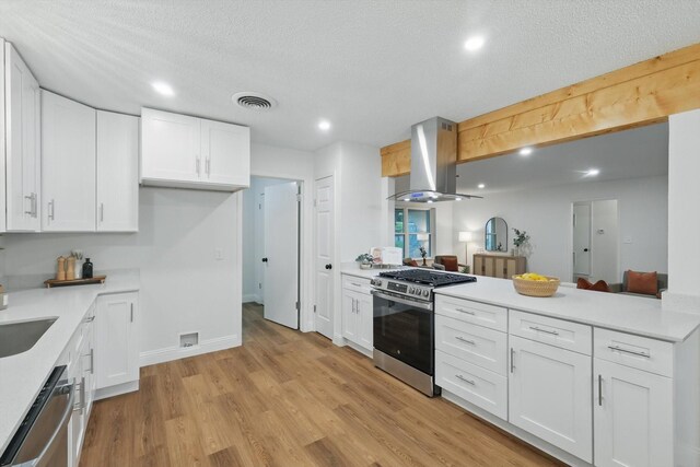 6304 Circleview Dr, Haltom City, TX 76180 - kitchen with appliances with stainless steel finishes, island exhaust hood, light countertops, recessed lighting, and a textured ceiling