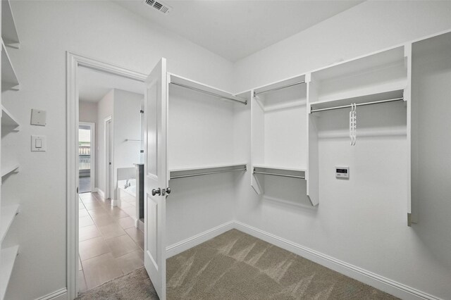 2004 Long Park Ave, Prosper, TX 75078 - walk in closet featuring carpet flooring