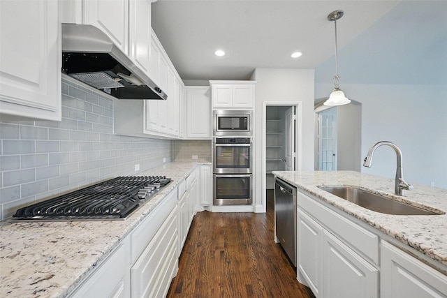 2004 Long Park Ave, Prosper, TX 75078 - kitchen featuring range hood, a sink, stainless steel appliances, white cabinetry, and dark wood finished floors