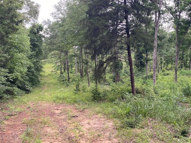 12727 N US Highway 259, Pittsburg, TX 75683