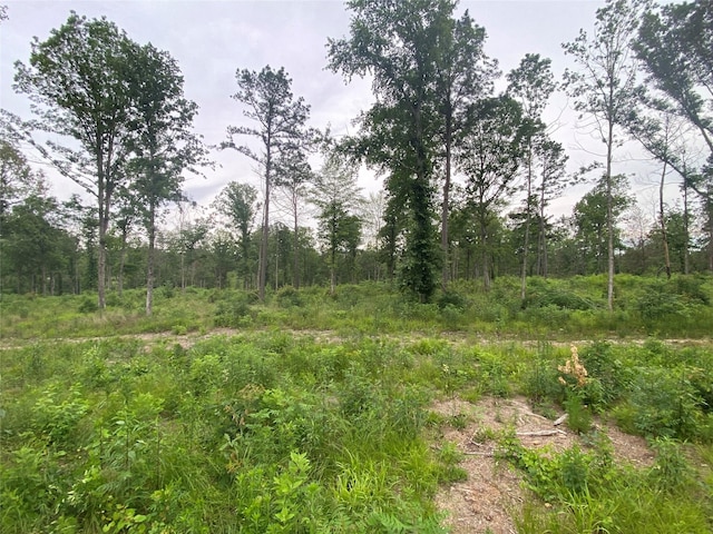 12727 N US Highway 259, Pittsburg, TX 75683