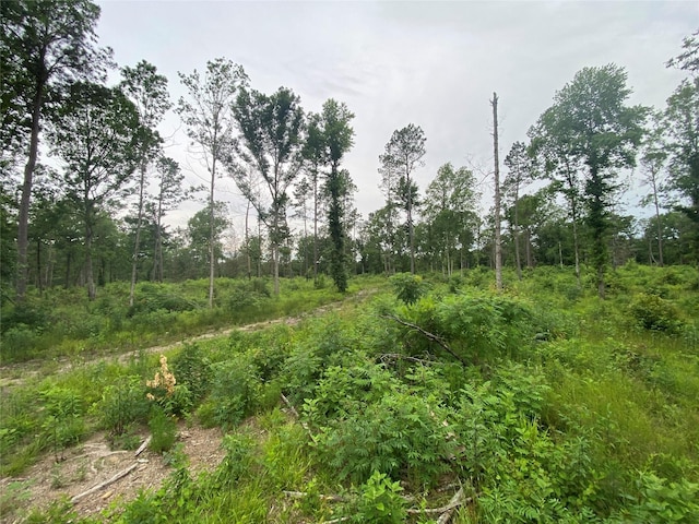12727 N US Highway 259, Pittsburg, TX 75683
