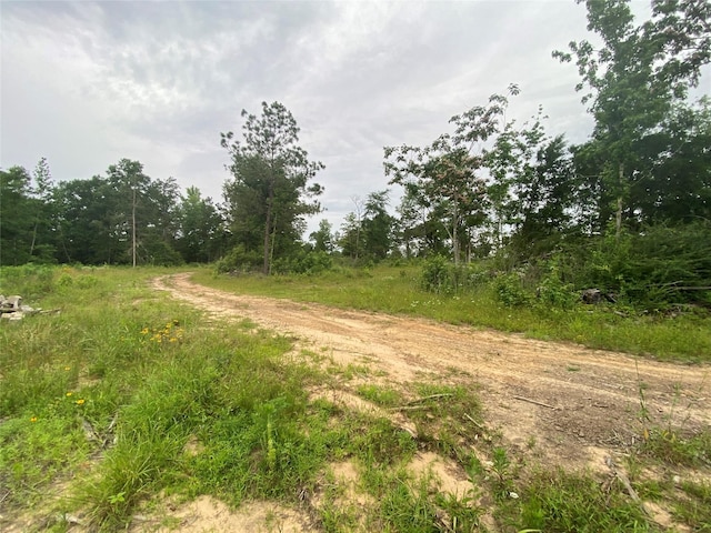 12727 N US Highway 259, Pittsburg, TX 75683