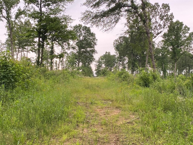 12727 N US Highway 259, Pittsburg, TX 75683