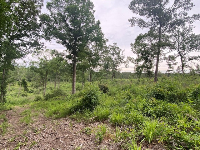 12727 N US Highway 259, Pittsburg, TX 75683