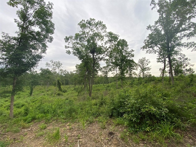 12727 N US Highway 259, Pittsburg, TX 75683
