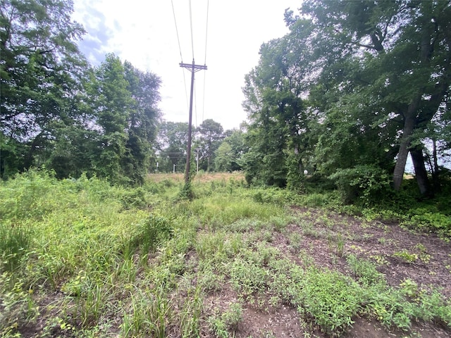 12727 N US Highway 259, Pittsburg, TX 75683