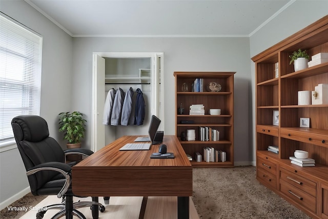 5729 Wales Ave, Fort Worth, TX 76133 - carpeted office featuring baseboards and crown molding