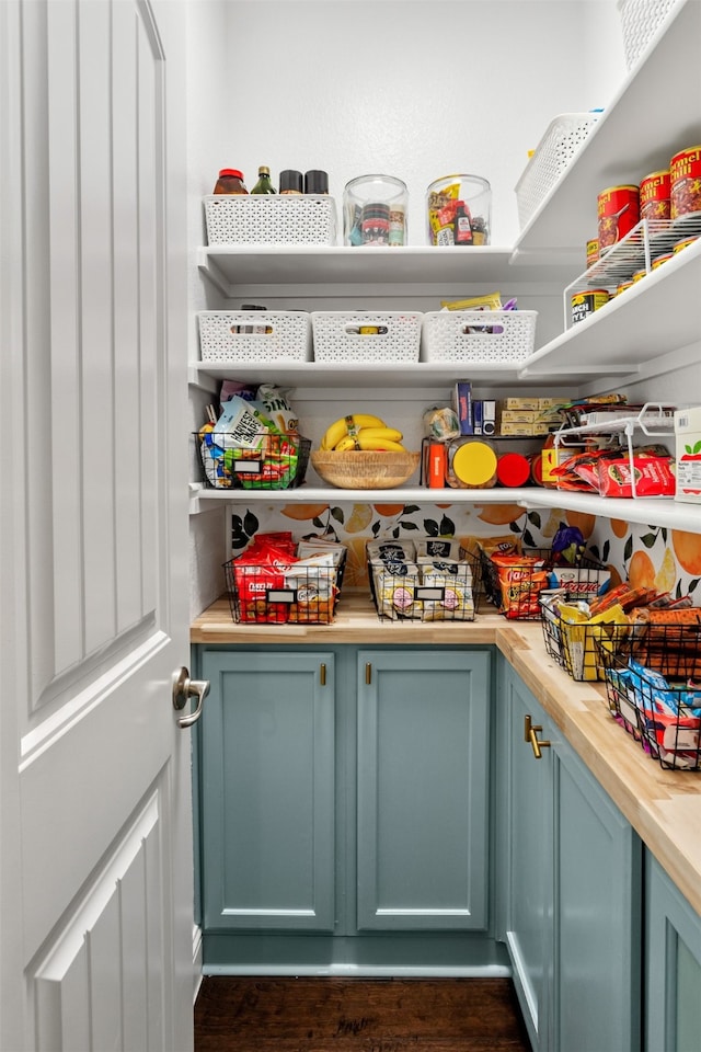 1008 Cason Falls Rd, Mckinney, TX 75071 - view of pantry