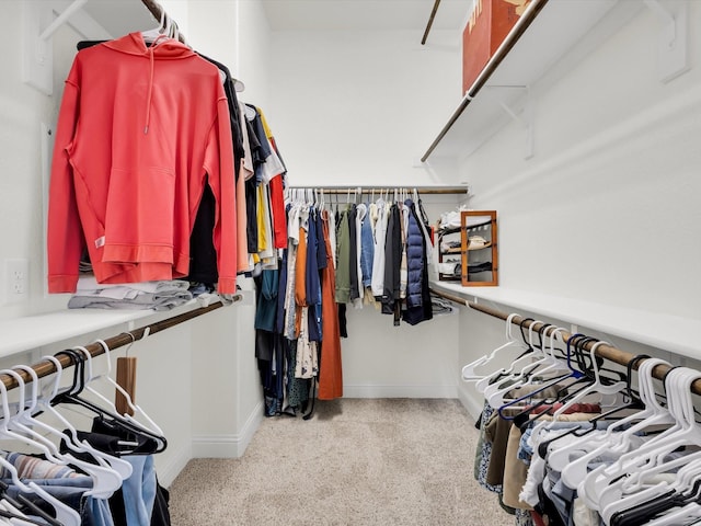 11716 Pistachio Trl, Fort Worth, TX 76108 - walk in closet with carpet flooring