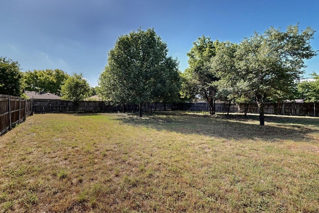 2530 Gerry Way St, Lancaster, TX 75134 - view of yard