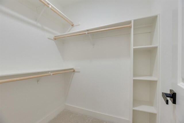 3620 Big Horn Trl, Plano, TX 75075 - spacious closet with carpet floors