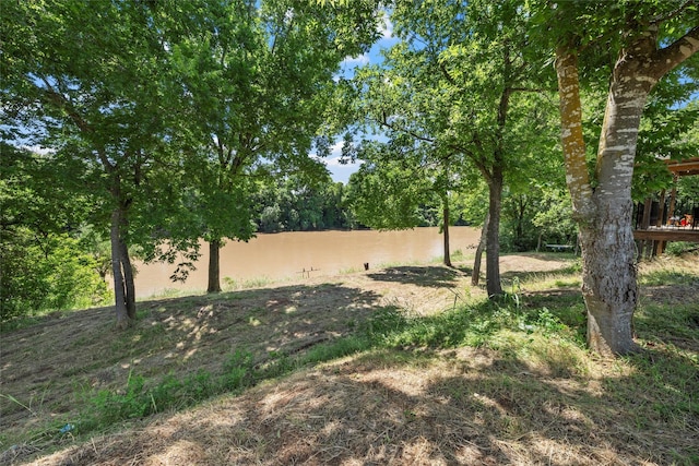 281 Private Road 612, Reagan, TX 76680 - view of yard