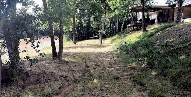 281 Private Road 612, Reagan, TX 76680 - view of yard