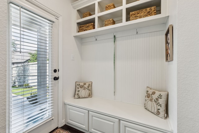 2516 Stella Ln, Northlake, TX 76247 - mudroom with plenty of natural light