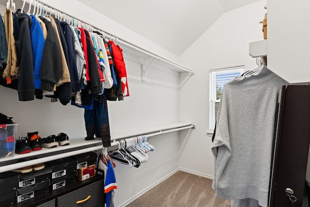 3148 Guadaloupe, Grand Prairie, TX 75054 - walk in closet featuring carpet flooring and lofted ceiling