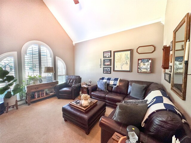599 N Weldon, Frankston, TX 75763 - living area with carpet flooring and high vaulted ceiling