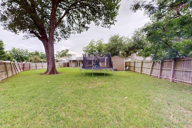 1803 Travis St, Garland, TX 75042 - fenced backyard with a storage unit and a trampoline