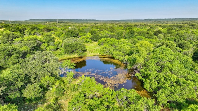 TBD Fm -1156, Jacksboro, TX 76458