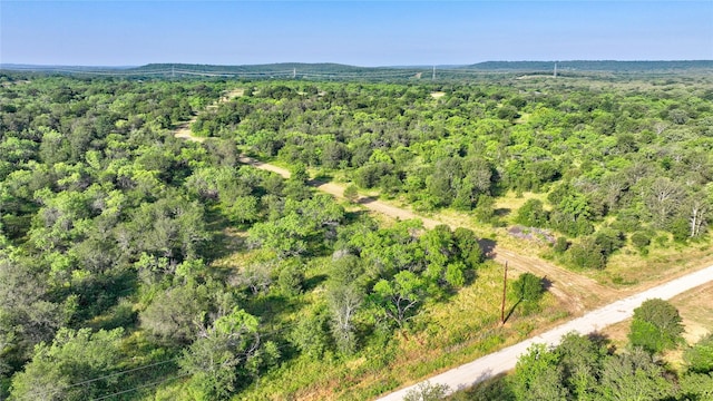 TBD Fm -1156, Jacksboro, TX 76458