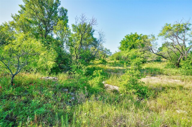 TBD Fm -1156, Jacksboro, TX 76458