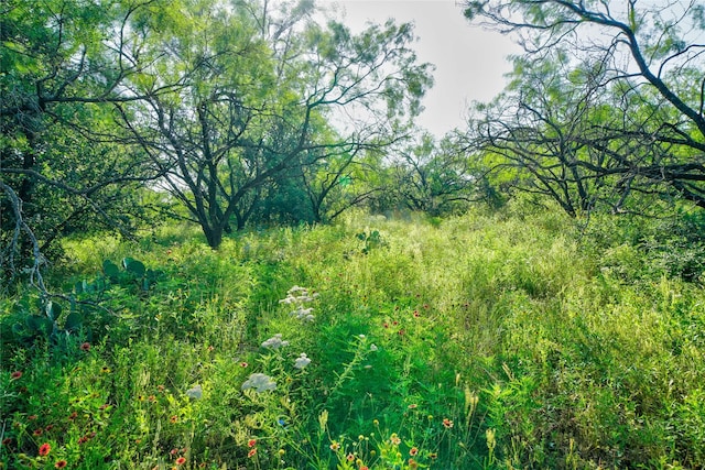 TBD Fm -1156, Jacksboro, TX 76458