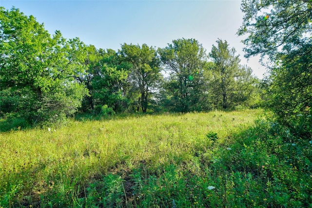 TBD Fm -1156, Jacksboro, TX 76458