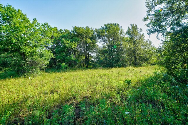 TBD Fm -1156, Jacksboro, TX 76458