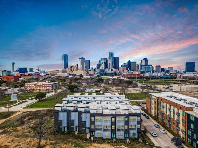 1813 Park Ave Unit 204, Dallas, TX 75215 - view of city skyline