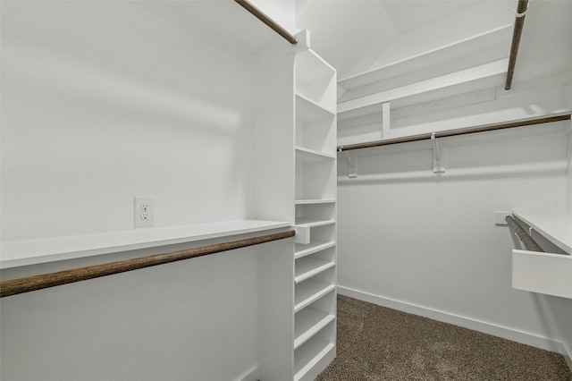 2101 Chebi Ln, Denton, TX 76209 - walk in closet featuring dark carpet