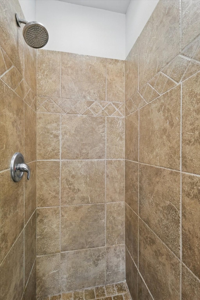 237 Cedar Crest Dr, Justin, TX 76247 - bathroom with a tile shower