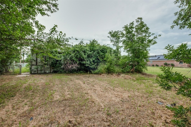 3517 Toronto St, Dallas, TX 75212 - view of yard