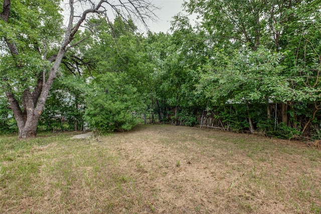 3517 Toronto St, Dallas, TX 75212 - view of yard