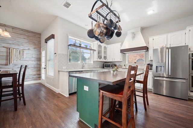 1817 Meadow Ridge Dr, Flower Mound, TX 75028 - kitchen featuring stainless steel appliances, custom range hood, plenty of natural light, wooden walls, and white cabinetry